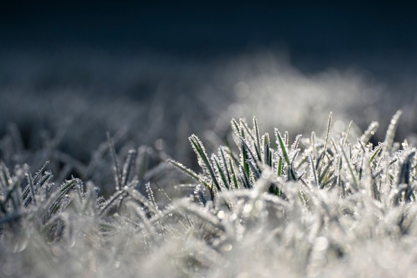 Spel vid frost