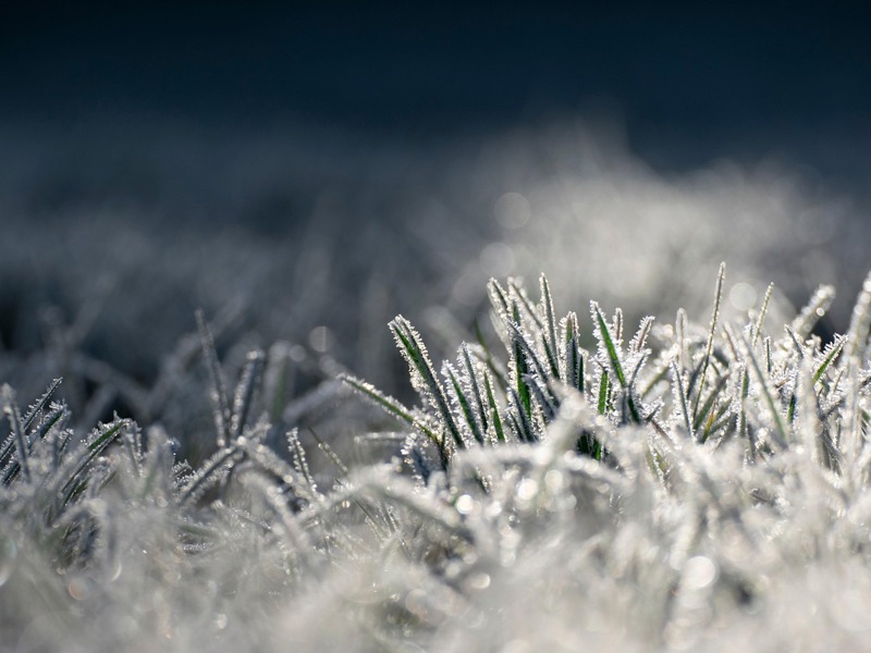 Spel vid frost