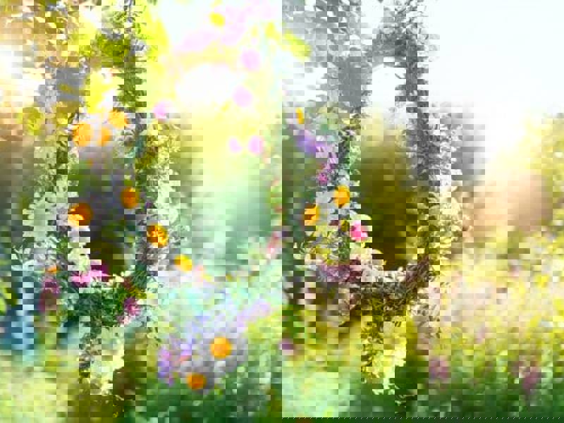 Öppettider i midsommar